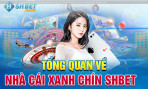 SHBET: Hành Trình Trở Thành Nền Tảng Cá Cược Trực Tuyến Hàng Đầu