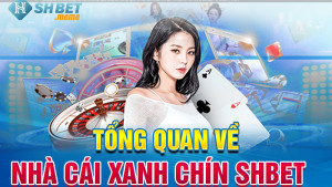 SHBET: Hành Trình Trở Thành Nền Tảng Cá Cược Trực Tuyến Hàng Đầu